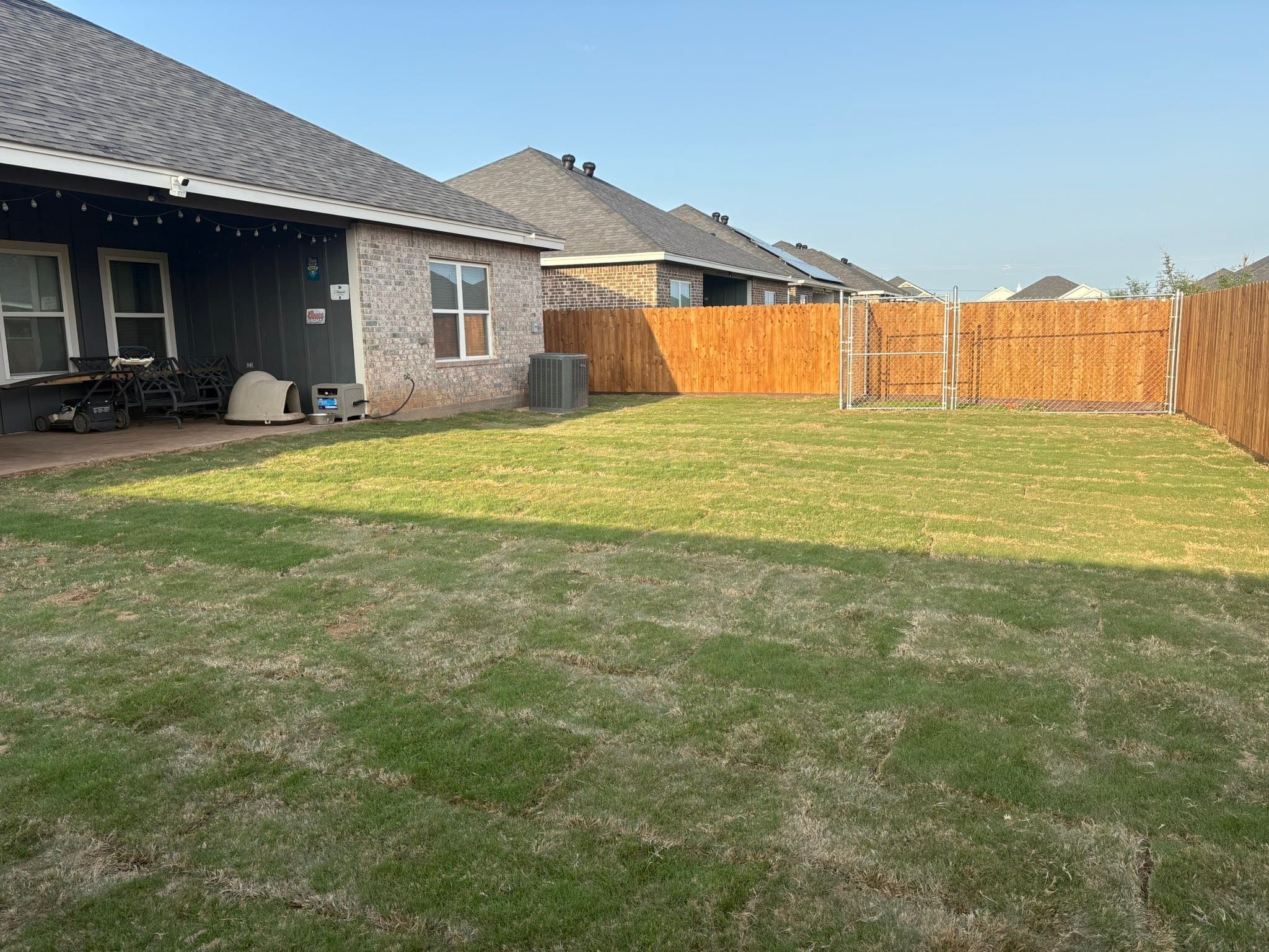 Fresh sod being installed across a prepared West Texas yard